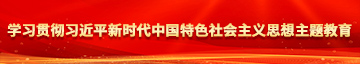 逼逼干精品学习贯彻习近平新时代中国特色社会主义思想主题教育