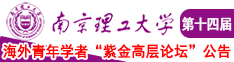 草莓亚洲av在线南京理工大学第十四届海外青年学者紫金论坛诚邀海内外英才！